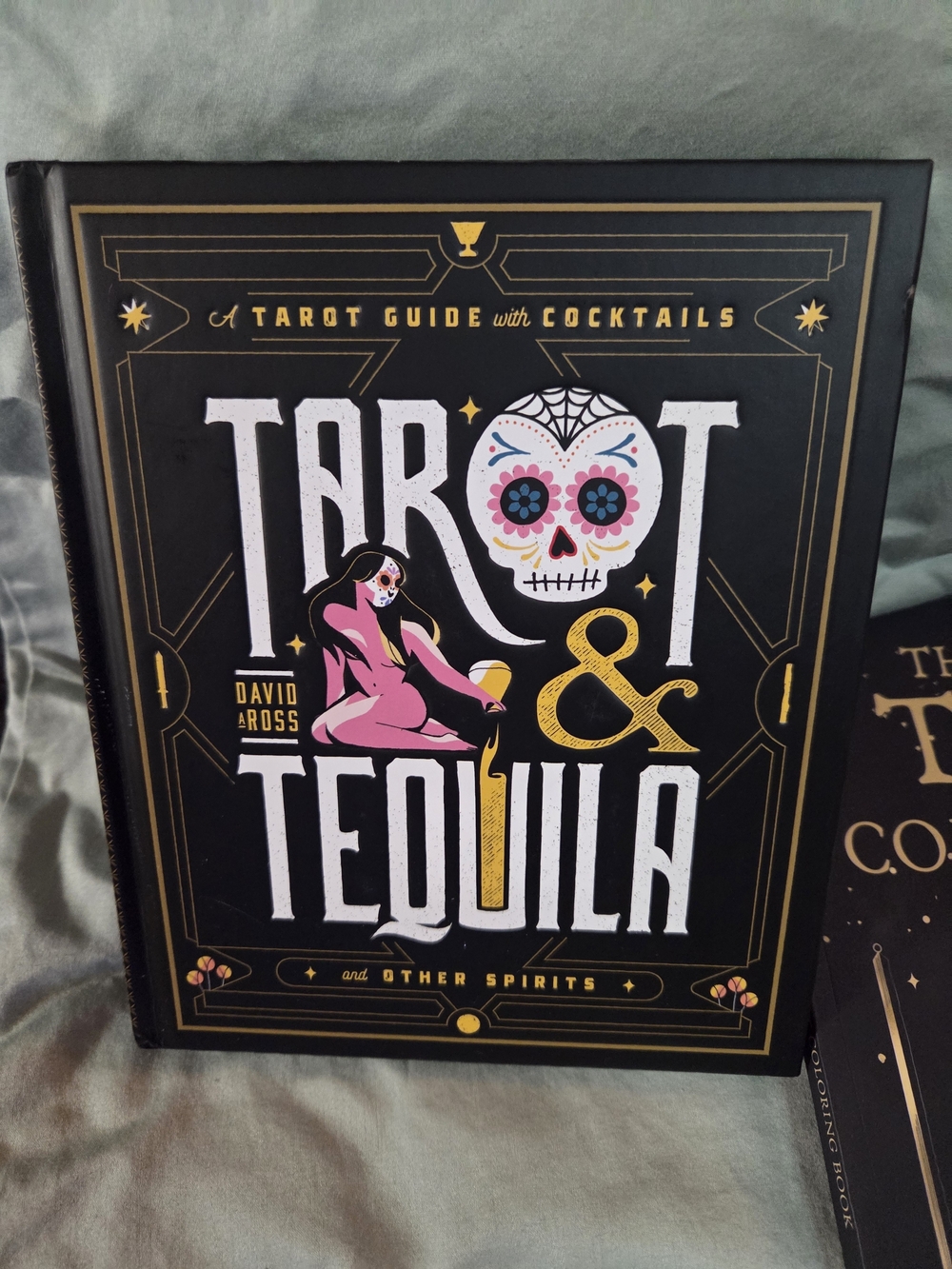 Tarot & Tequila Book and The Ultimate Tarot Coloring Book - Black & Gold Accents - Picture 2 of 9